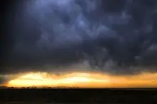 开拓者直播在线观看高清直播