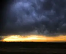 开拓者直播在线观看高清直播