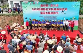 斗地风云突变色